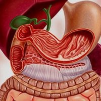 Sfeclă cu ulcer gastric beneficiile și rău