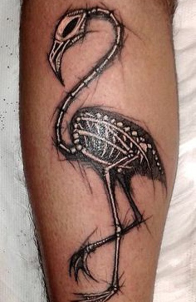 Tattoo Flamingo - jelentése, tetoválás vázlatok és fotók