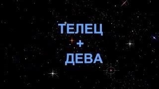 Taurul și compatibilitatea fecioarelor de bărbați și femei îndrăgostiți