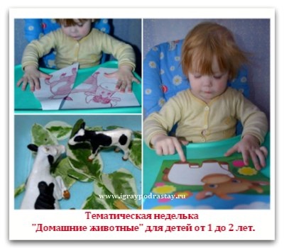 Tema Săptămâna - animale de companie - pentru copii de la 1 la 2 ani