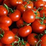 Prepararea tomatelor și îngrijirea în aer liber