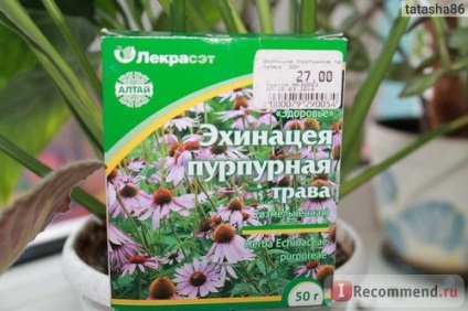 Grass lekraset echinacea purpurea - 