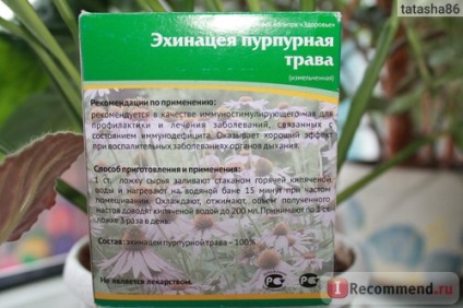 Grass lekraset echinacea purpurea - 