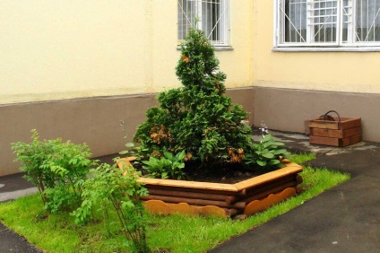 Kültéri kert fából készült virágok Moszkvában árak és fényképek