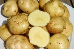 Reducem consumul de cartofi la plantare, articole utile pe blogul lui Becker