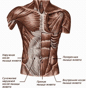 Exerciții pentru întărirea corsetei musculare