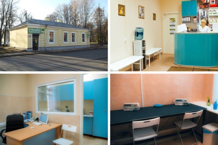 Clinici veterinare în raionul gatchina și gatchina