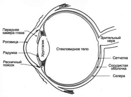 Tipurile de astigmatism, gradele și tipurile de clasificare