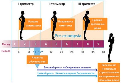 Tensiune arterială crescută din motive de sarcină, cum să scadă decât periculoasă