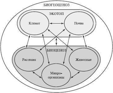 Interrelațiile dintre organisme