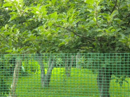 Garduri din plasa pvc - cum se utilizează bandă din material plastic pentru țeserea gardului