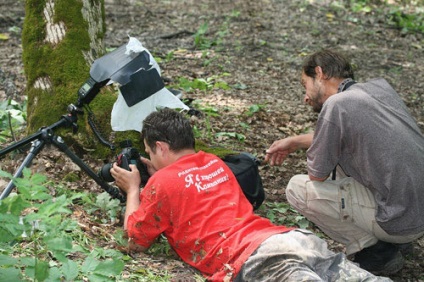 Beetles cerb - site-ul pentru copii zateevo