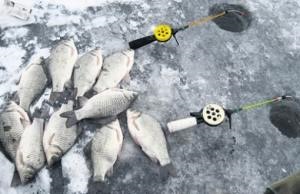 Téli horgászpálca a kegyes ponty úszókhoz és a marmás fogaskerekekhez