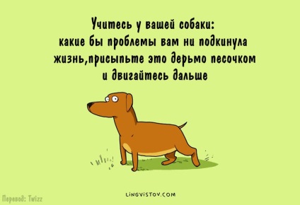 10 Ілюстрацій, які будуть зрозумілі кожному, у кого є собака