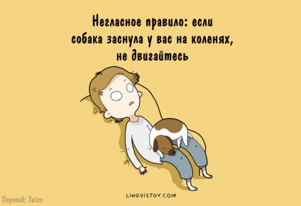 10 Ілюстрацій, які будуть зрозумілі кожному, у кого є собака