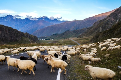 5 Cele mai renumite moduri de a intra în Georgia, rambler