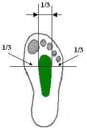 Alexander Kiselev cum să corecteze picioarele plate și piciorul de picior - Pagina 1 din 4
