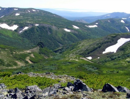 Exploatarea aurului Amur pe Teritoriul Primorye, Yakutia, în regiunea Magadan și Amur