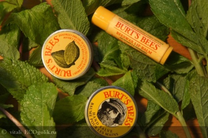 Lip Balm méhviasz ajakbalzsam burt s méhek - felülvizsgálat ecoblocher vitali