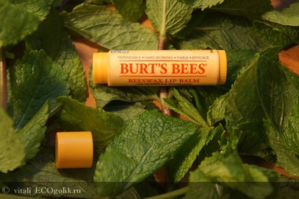 Lip Balm méhviasz ajakbalzsam burt s méhek - felülvizsgálat ecoblocher vitali