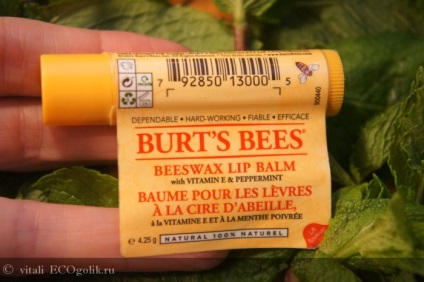 Lip Balm méhviasz ajakbalzsam burt s méhek - felülvizsgálat ecoblocher vitali