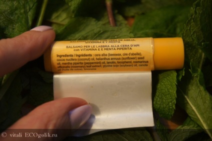 Lip Balm méhviasz ajakbalzsam burt s méhek - felülvizsgálat ecoblocher vitali