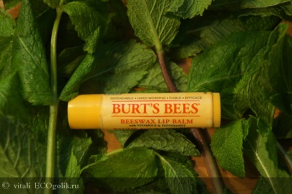 Balsam de buze Balsam de buze de buze burt s albine - revizuire ecoblocher vitali