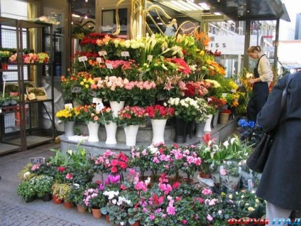 Plan de afaceri pentru un magazin de flori