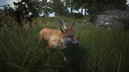 Fekete sivatag online gyors pumpa a karakter (útmutató) (Black Desert Online) Fekete sivatag online gyors szivattyú karakter (útmutató)