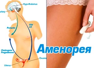Borovoy proprietăți uterine medicinale și contraindicații