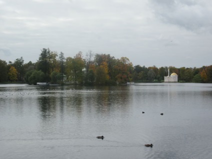 Tsarskoe Selo, Sankt-Petersburg, Rusia descriere, fotografie, unde este pe hartă, cum se obține