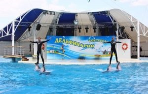 Dolphinarium 