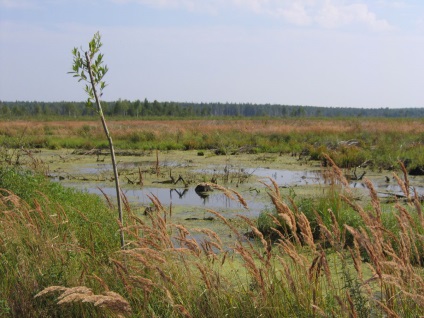 Szövetségi állami költségvetési intézmény nemzeti park 