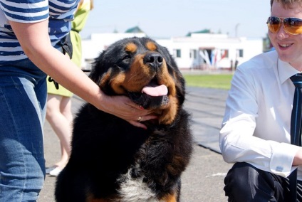 Festivalul tuturor raselor de câini, provincia Siberia