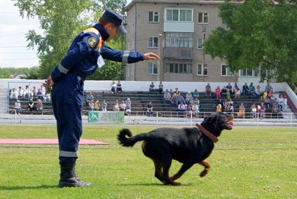 Festivalul tuturor raselor de câini, provincia Siberia