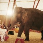 Poziționată în stilul de circ, fotografie de circ, studio foto pe Voykovskaya