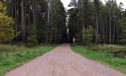 În cazul în care pentru a alerga bine - Meshchersky Park