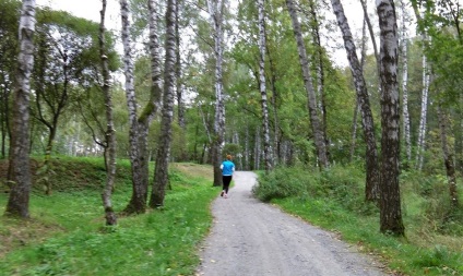 În cazul în care pentru a alerga bine - Meshchersky Park