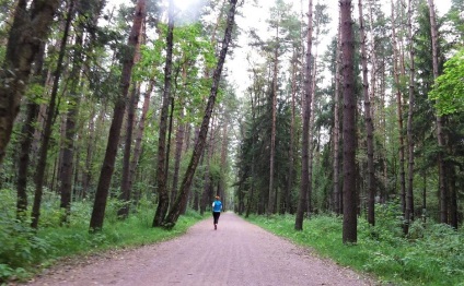 Hol menjen jól - Meshchersky Park