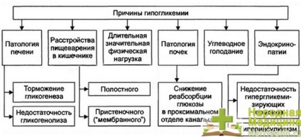 Hipoglicemia sau sindromul hipoglicemic