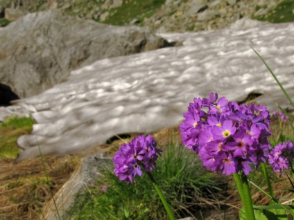 Munții din albumul de fotografie din Osetia de Nord și nu numai