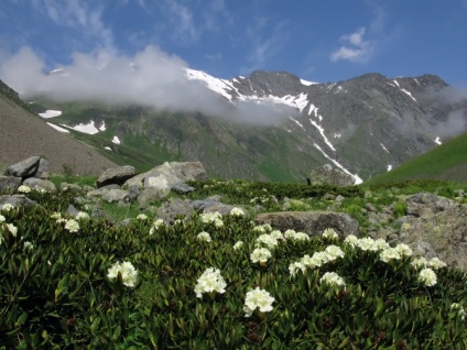 Munții din albumul de fotografie din Osetia de Nord și nu numai