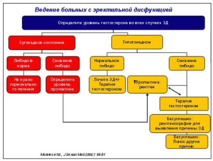 Disfuncția erectilă hormonală - centrul femeii de sex masculin medic