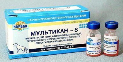 Instrucțiuni pentru utilizarea proprietăților multikan-8 ale medicamentului, recenzii