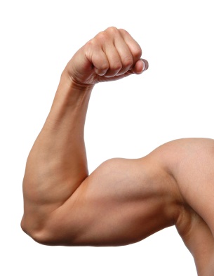 Cum să vă pompiți rapid bicepsul acasă, fitnessul dumneavoastră