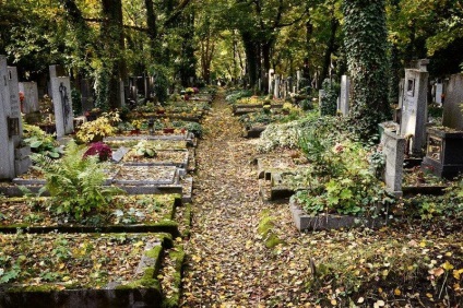 Ce fel de farmec de cimitir are un magician amorai