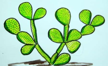 Cum de a desena un cactus