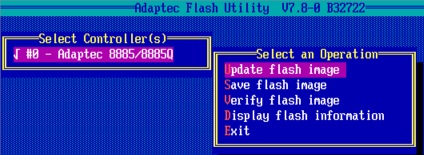 Cum se actualizează BIOS-ul de la adaptec, care configurează ferestrele și serverele linux