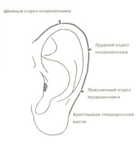 Cum să identificați bolile la marginea urechii