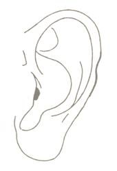 Cum să identificați bolile la marginea urechii